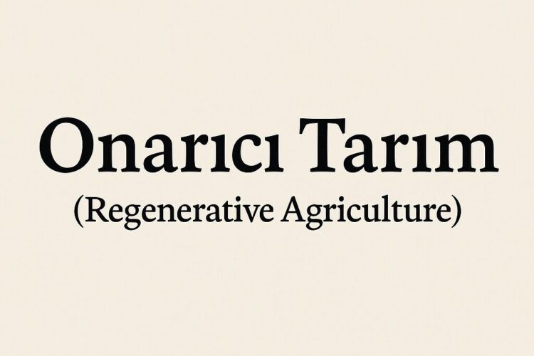 onarıcıtarim